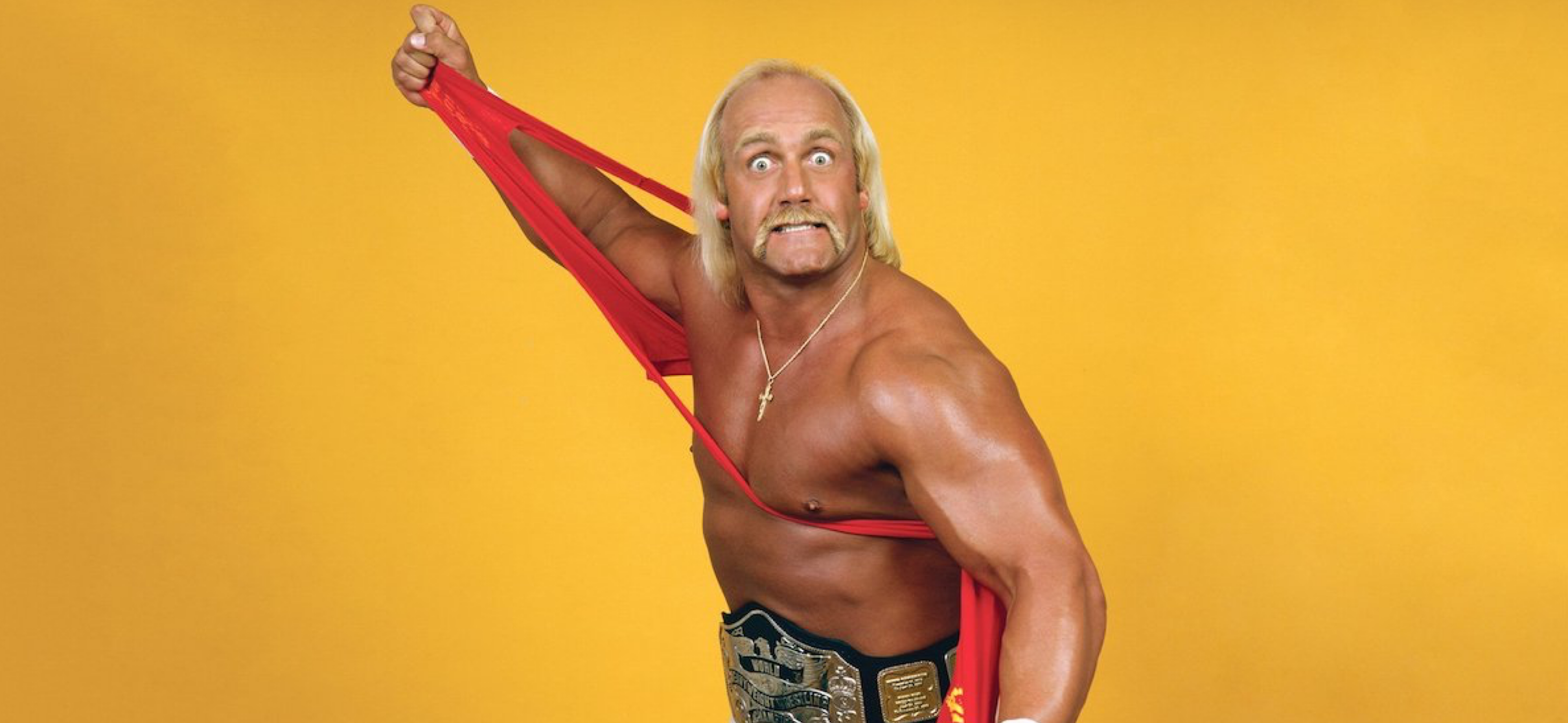 “The Immortal” Hulk Hogan: A Review